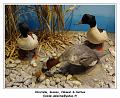 DSC02460_RD