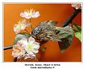 DSC02464_RD
