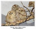 DSC02474_RD
