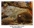 DSC02476_RD