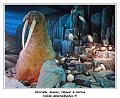DSC02496_RD