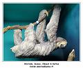 DSC02503_RD