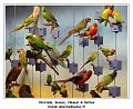 DSC02512_RD