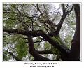 DSC00166