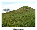 IMG_20130314_173334_RD