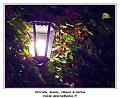 DSC03839_RD