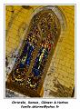 DSC03841_RD