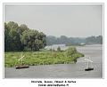 DSC03849_RD