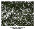 DSC03855_RD