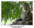 DSC03857_RD
