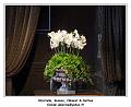 DSC03902_RD