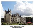 DSC03918_RD