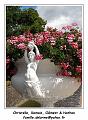 DSC03923_RD