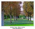 DSC03932_RD