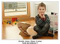 IMG_3382_RD