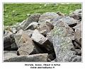 DSC03544_RD