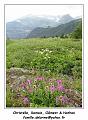 DSC03546_RD