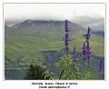DSC03593_RD