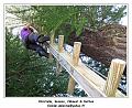 DSC03706_RD