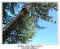 DSC03707_RD