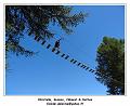 DSC03708_RD