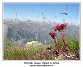 DSC03762_RD