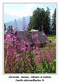 DSC03803_RD