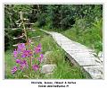DSC03814_RD