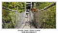 DSC03269_RD