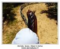 DSC03282_RD