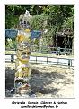 DSC03286_RD