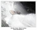 DSC03291_RD