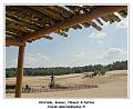 DSC03324_RD
