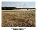 DSC03328_RD