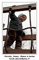 IMG_1954_RD