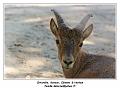 IMG_2735_RD