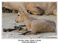 IMG_2743_RD