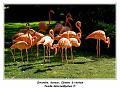 IMG_2756_RD