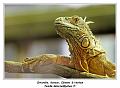 IMG_2761_RD