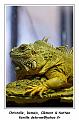 IMG_2765_RD