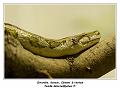 IMG_2769_RD