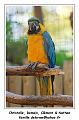 IMG_2774_RD