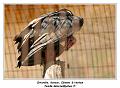 IMG_2776_RD