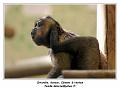 IMG_2799_RD