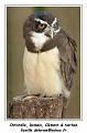 IMG_2807_RD