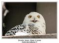 IMG_2810_RD
