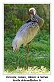 IMG_2811_RD