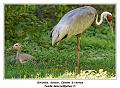 IMG_2813_RD