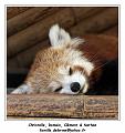 IMG_2828_RD