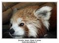 IMG_2833_RD